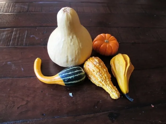 gourds on a table