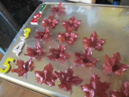 Montessori Themed Fall Math Activity with Leaves