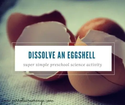 dissolve-an-eggshell-fb