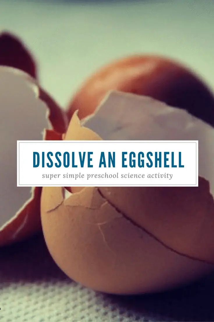 dissolve an eggshell