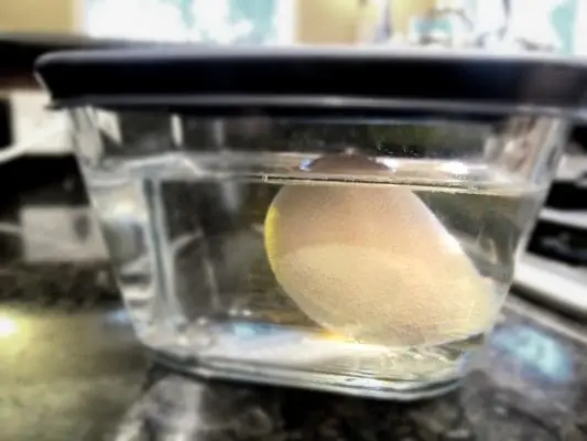 Dissolve an eggshell! Check out this super easy and amazing preschool science experiment that kids love!