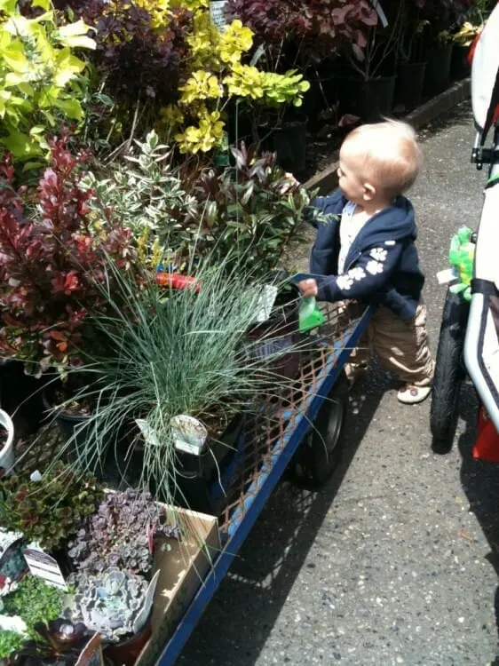 spring activities Gardening with Kids