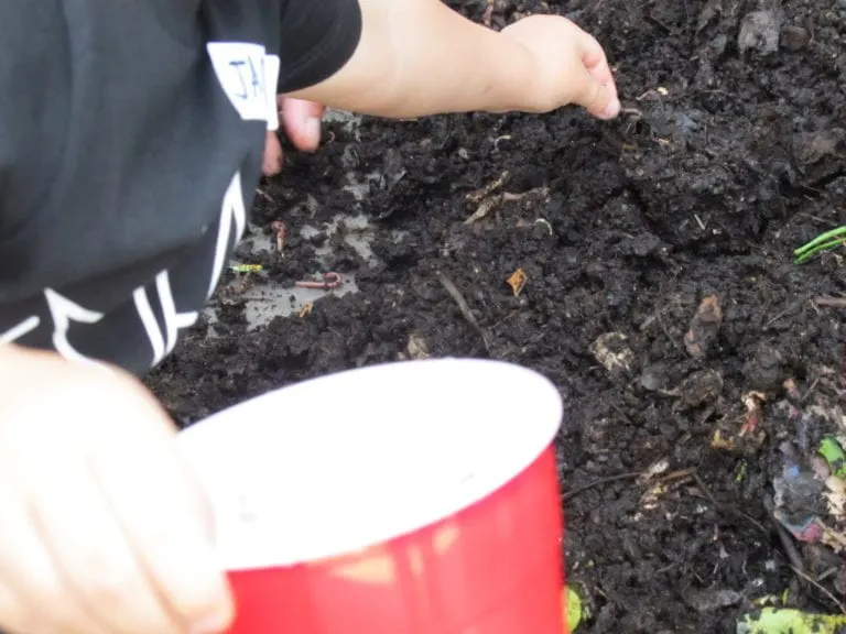 How to Make a Worm Tower - Gardening Activity for Kids