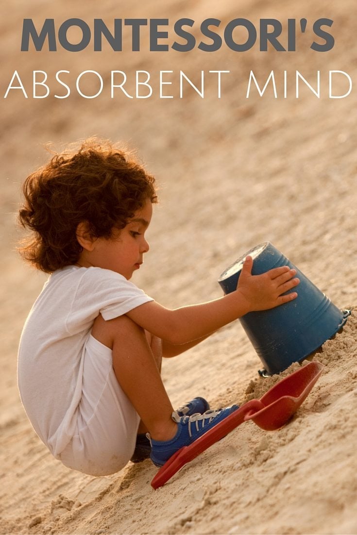 A Child's Absorbent Mind