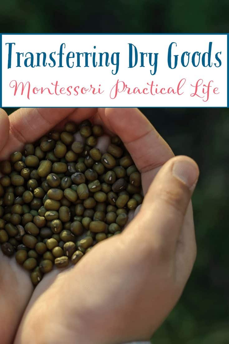 Montessori Practical Life Lesson - Transferring Dry Goods
