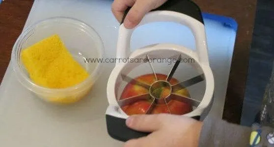 apple slicing