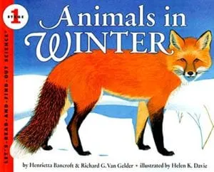 Animals in Winter Children's Book