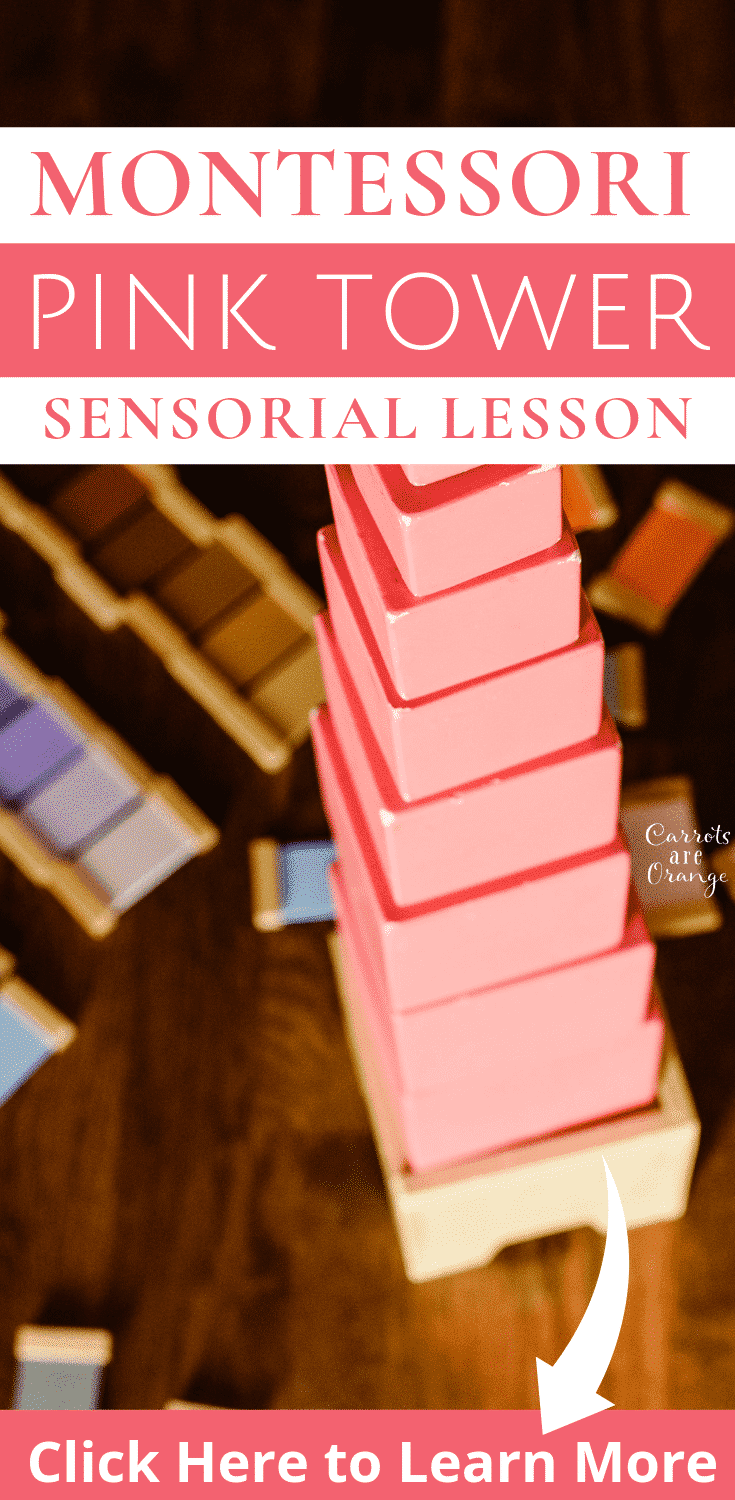 Learn the Montessori Pink Tower Lesson