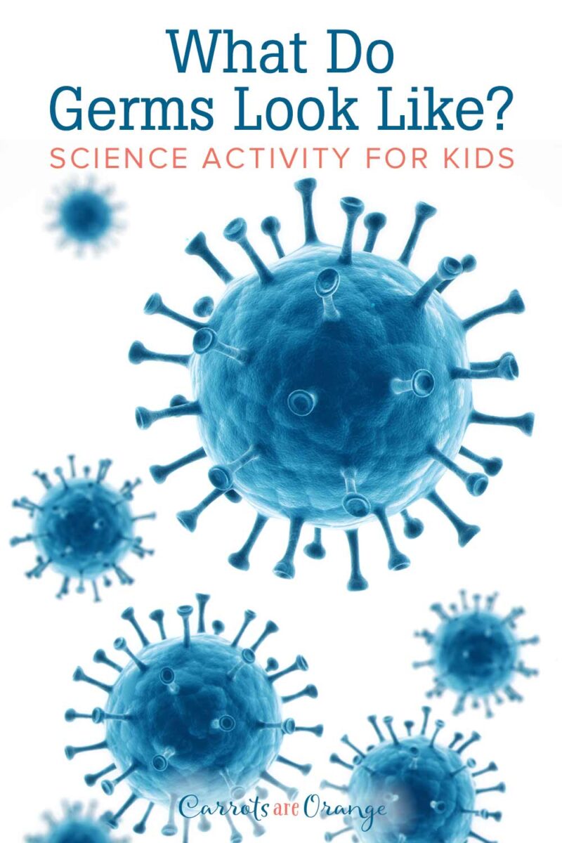 What-Do-Germs-Look-Like-Science-Activity-for-Kids