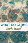 What Do Germs Look Like