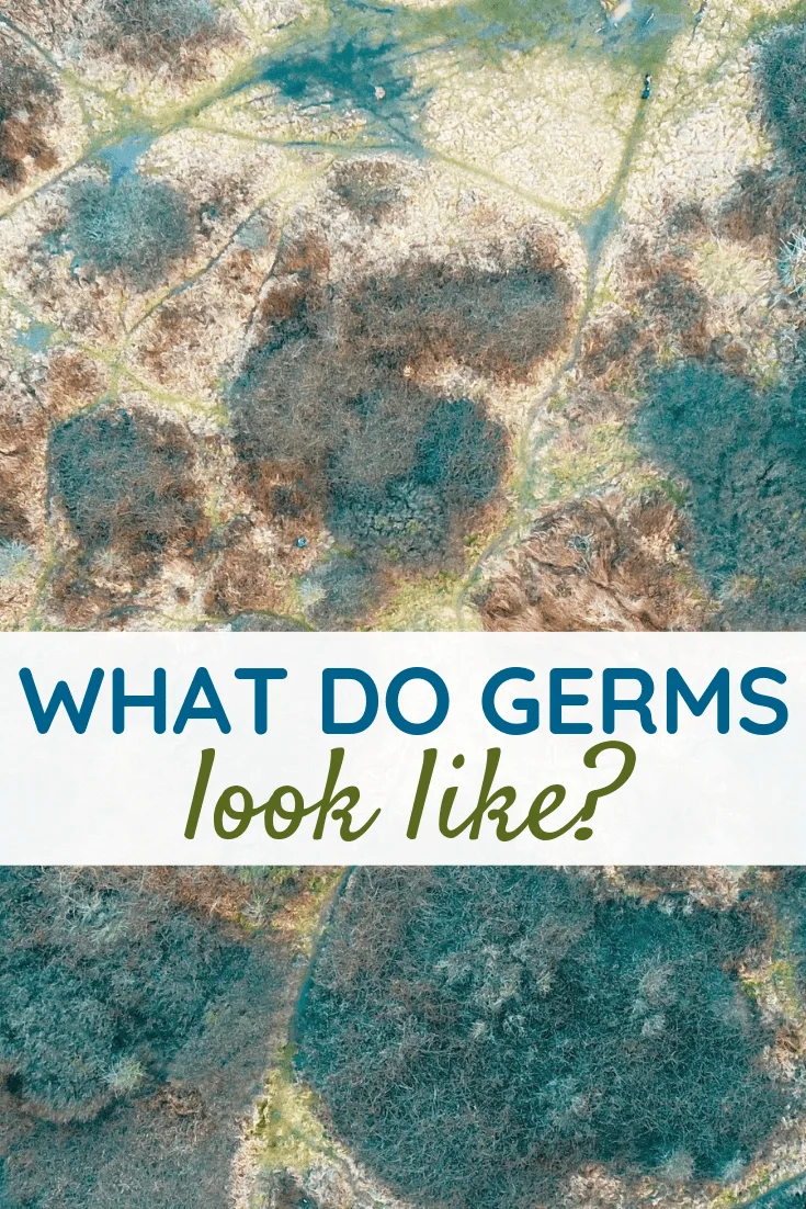 What Do Germs Look Like?