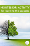 Montessori Activity for Learning the Seasons