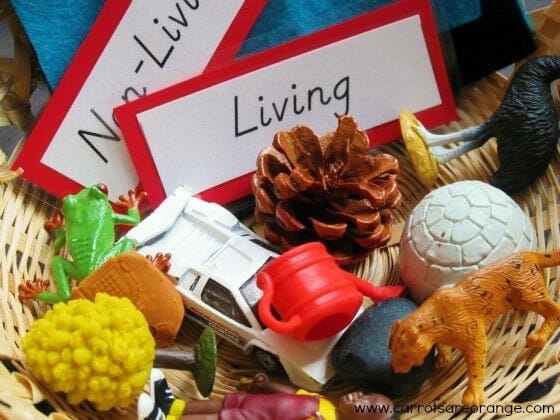 Living Non-Living Montessori Lesson