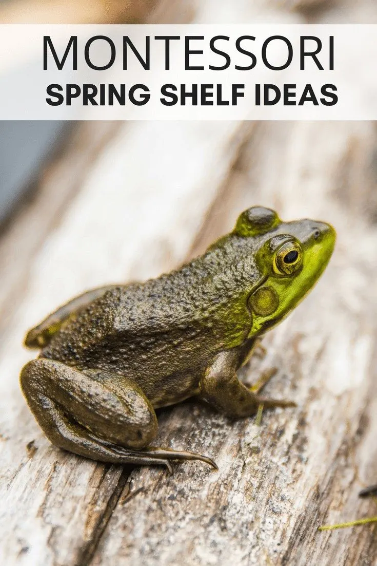 Montessori Spring Shelf Ideas