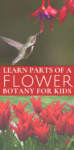 Learn Parts of a Flower Botany for Kids