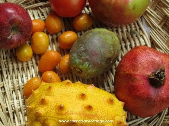 parts_of_fruit