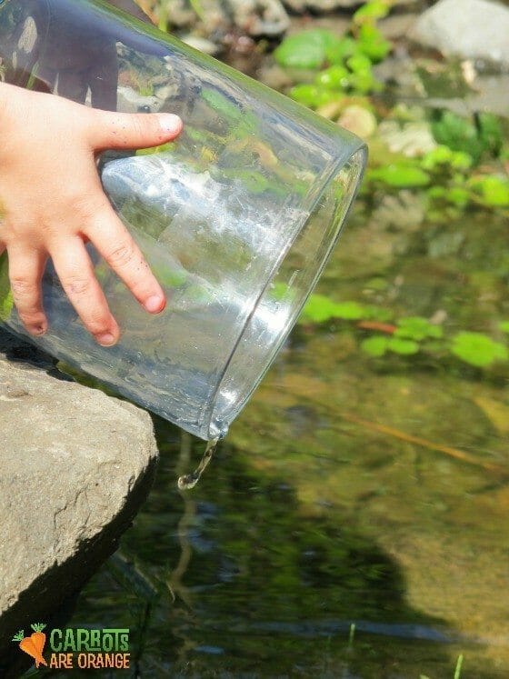 pond_dipping_nature