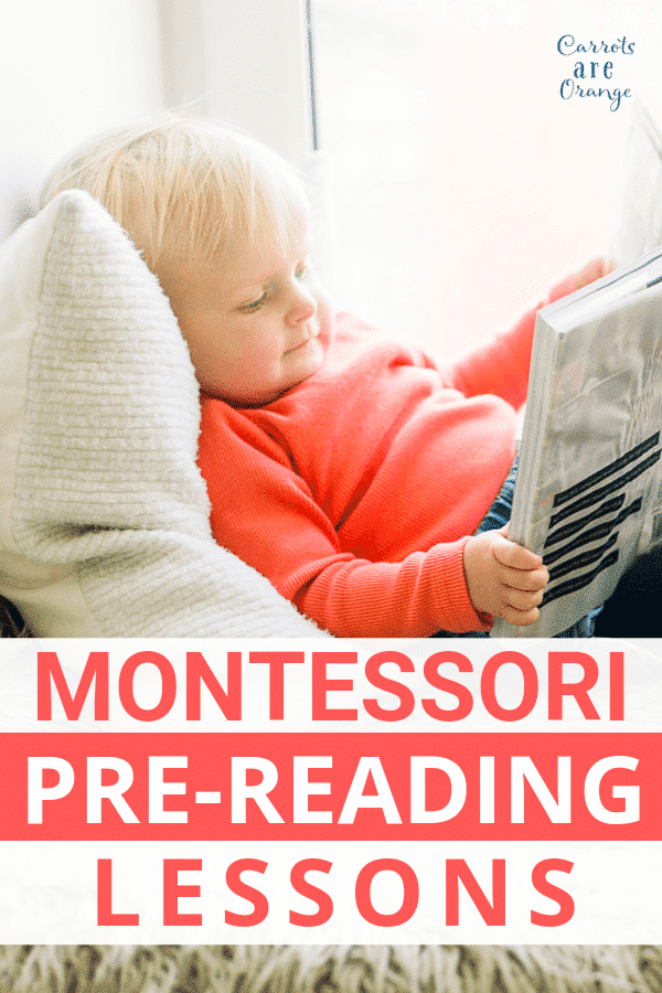 Montessori Pre Reading Lessons