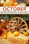 Check out what's new on our Montessori shelves this October