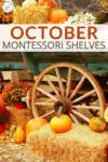 Check out what's new on our Montessori shelves this October