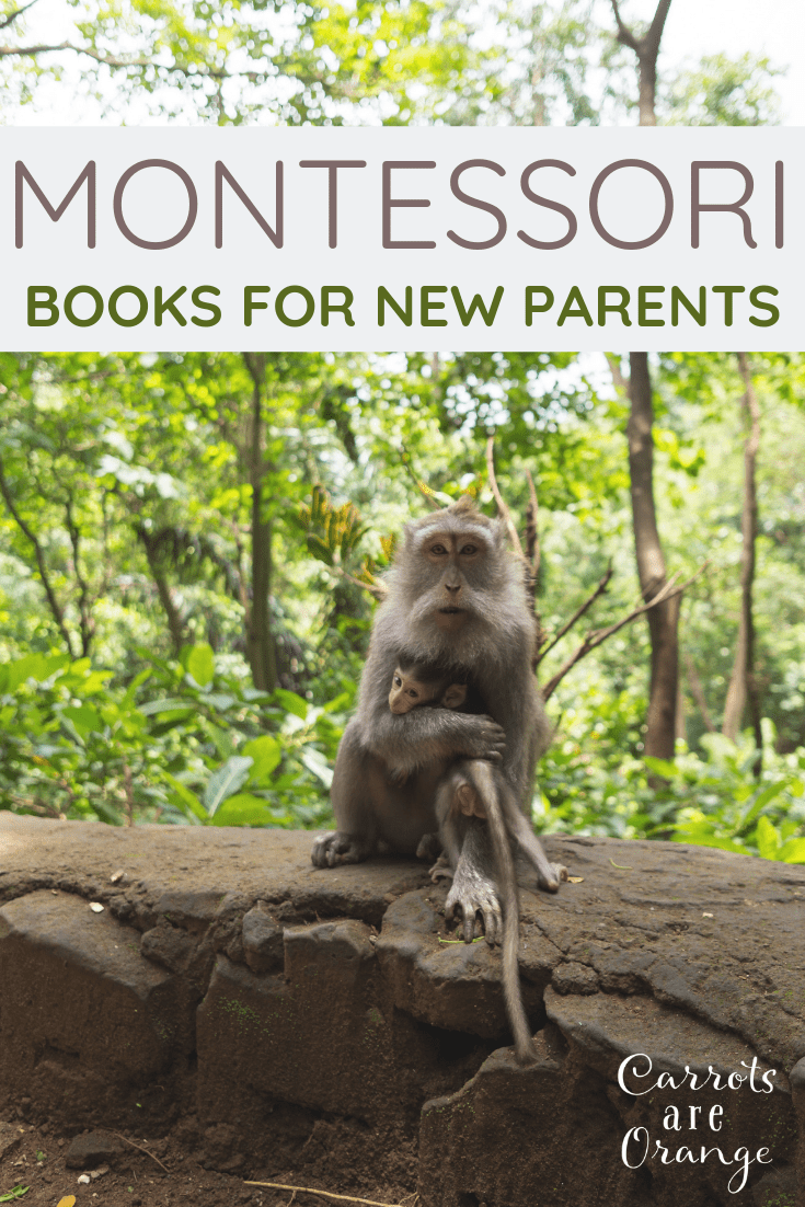 Montessori Books for New Parents