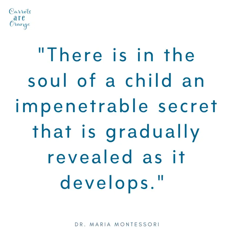 Montessori Quote about Babies