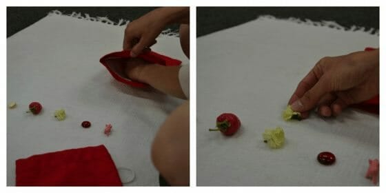 Montessori Sensorial: Mystery Bag