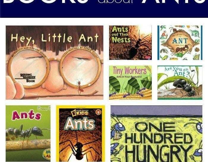 Ant Book Collage Pinterest