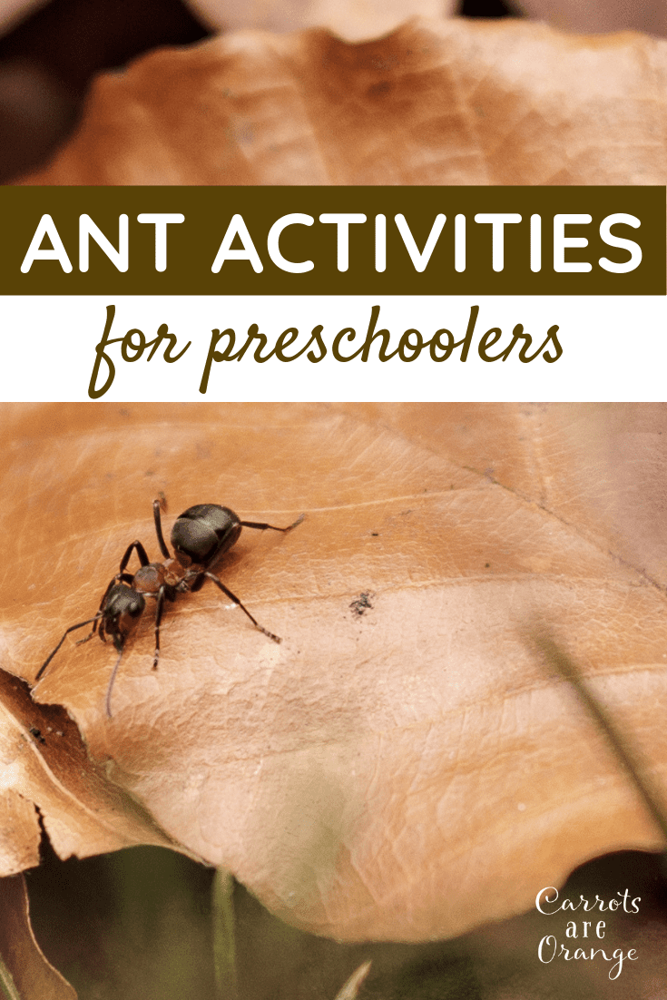 Super Fun & Easy Ant Activities for Preschoolers