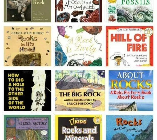 childrens books about rocks pinterest