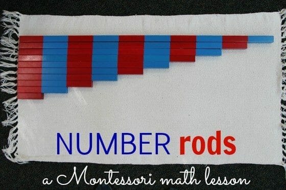 All You Need to Know about the Astonishing Number Rods 