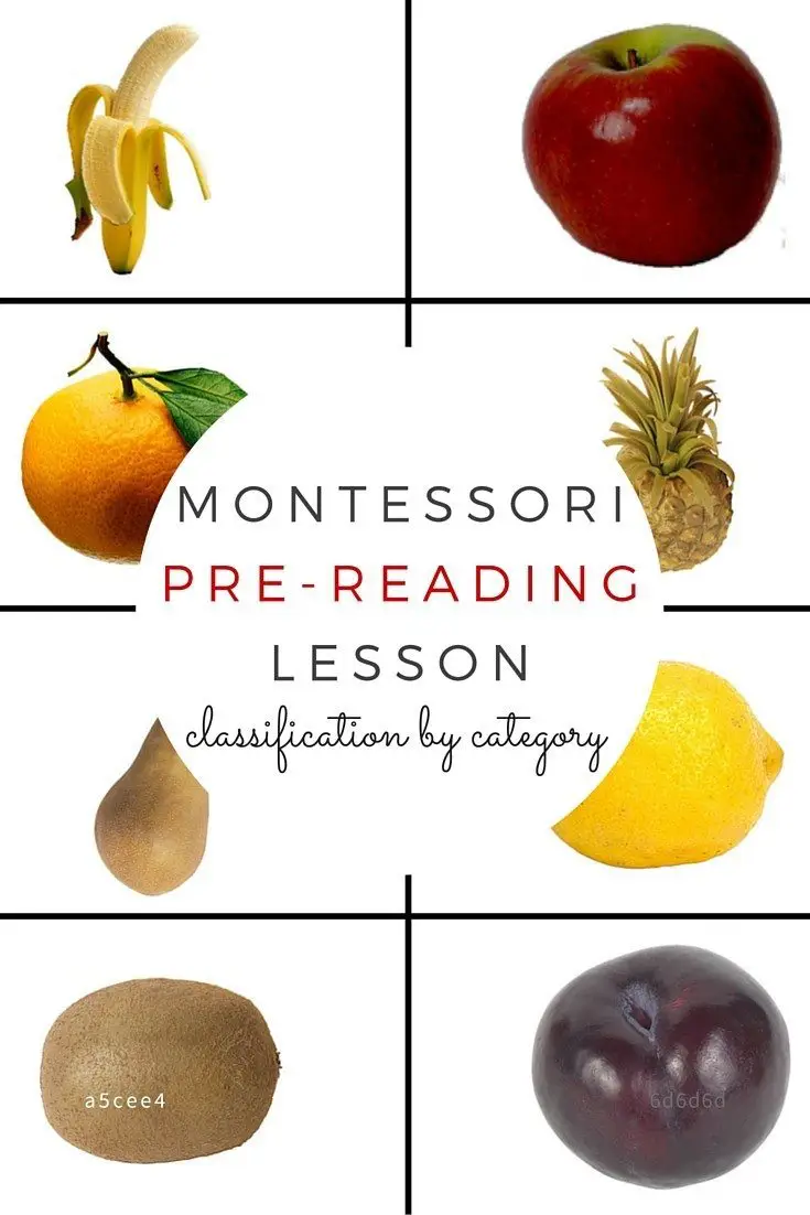 Learn the Montessori Pre-Reading Lesson Classification by Category