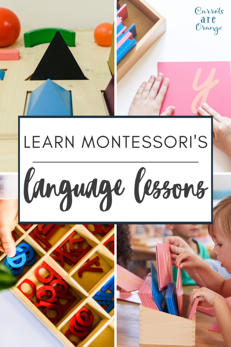 Montessori Language Sequence of Lessons