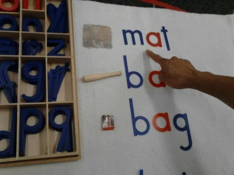 Movable Alphabet with Objects Lesson