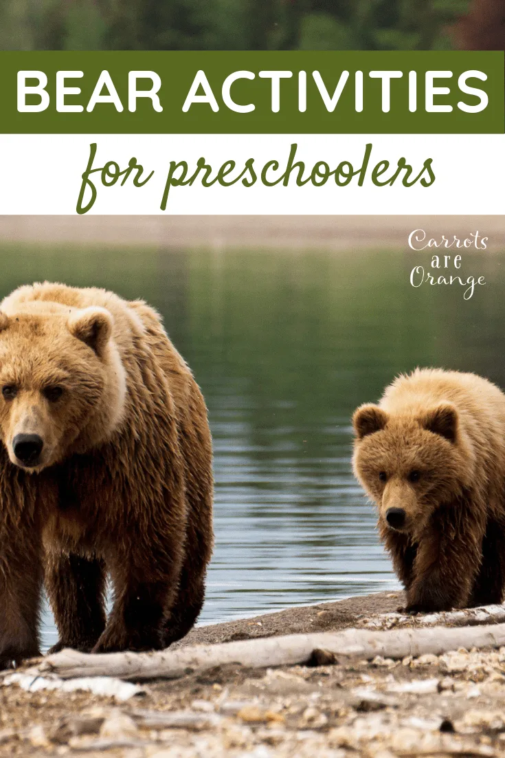 Super Fun Easy Bear Activities for Preschoolers