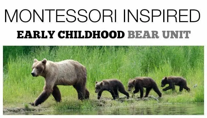 Bear Activities for Preschoolers