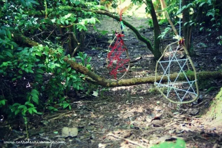 Dream Catchers Made from Natural Materials Hanging in the Forest