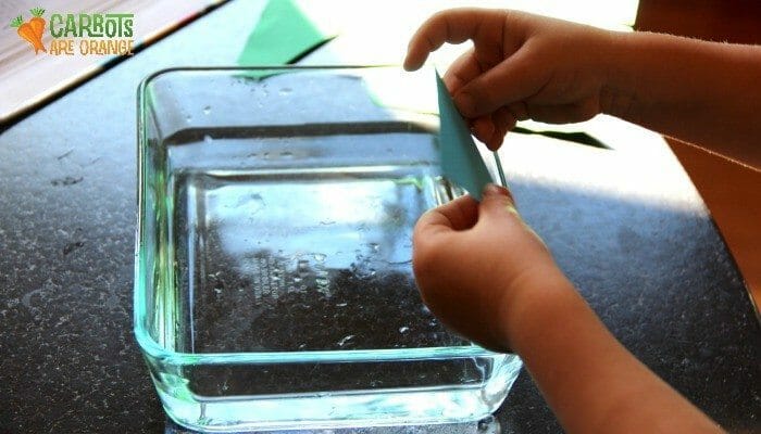 science with kids surface tension