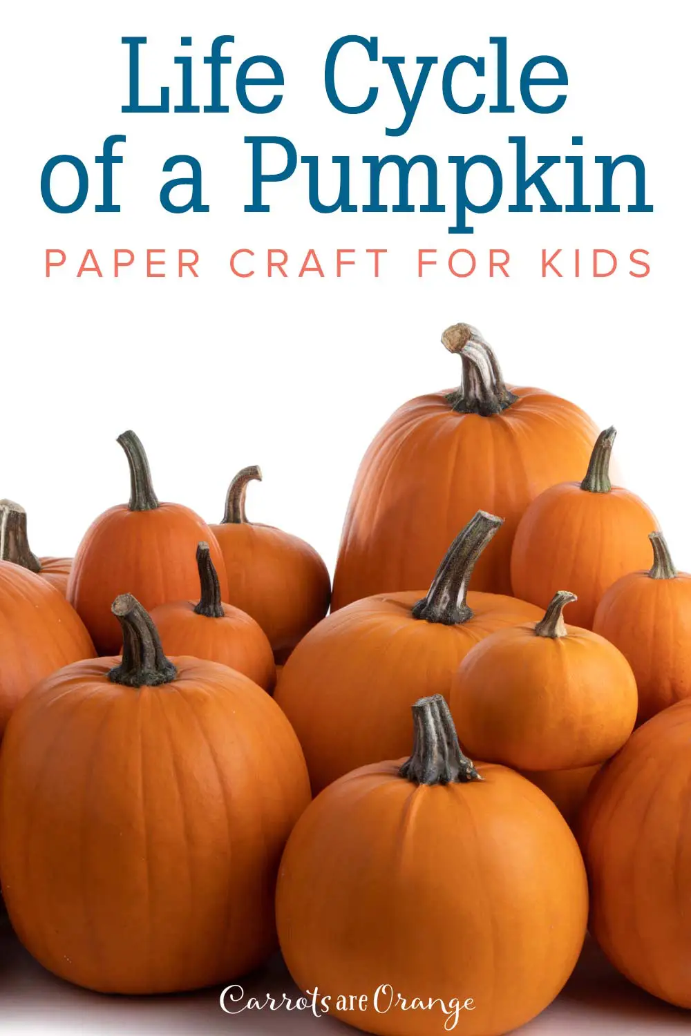 The Life Cycle Of A Pumpkin – Fall Paper Plate Craft For Kids