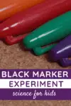 Learn about the Science of Color with the Black Marker Experiment