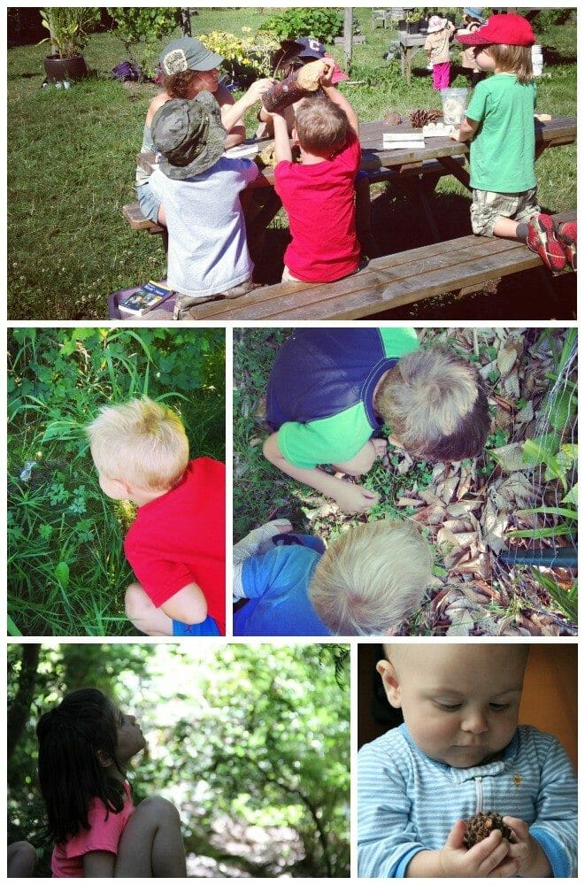 Children Nature Discovery