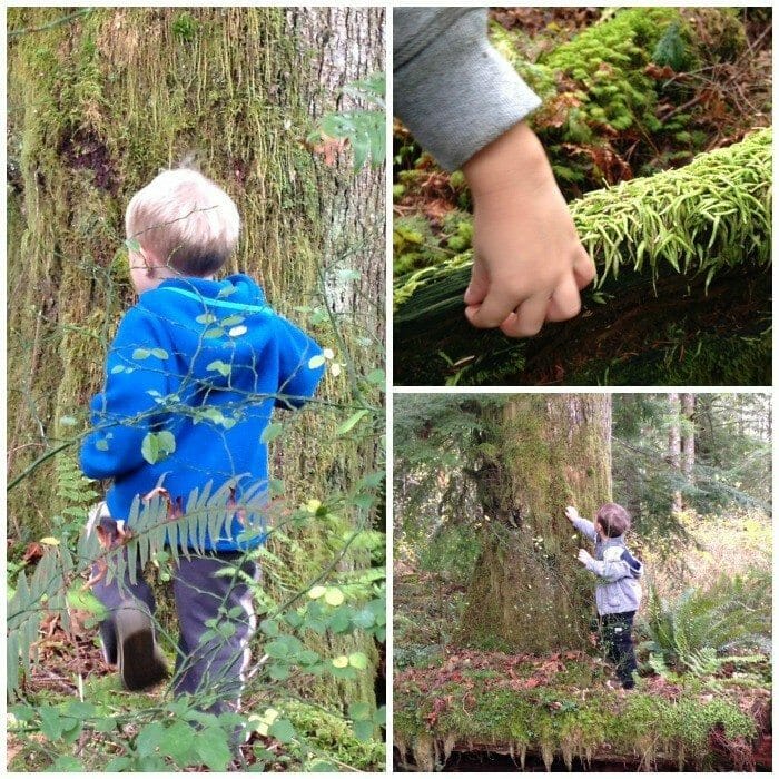 Kids Forest Discovery