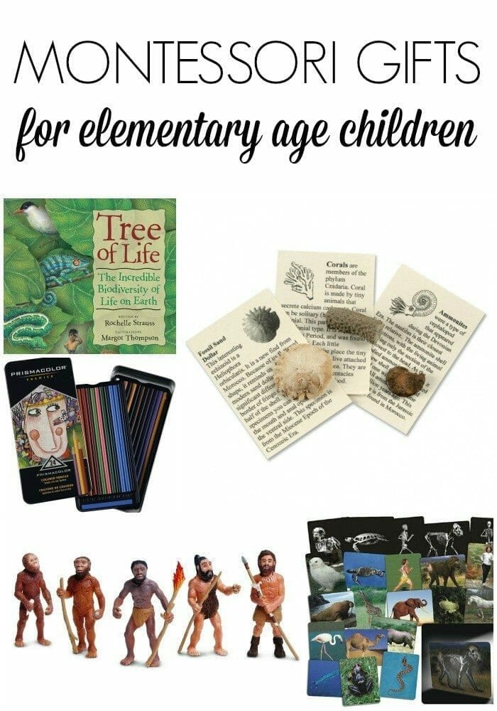Montessori Gifts for Elementary