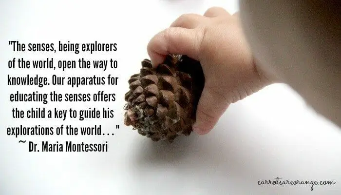 Montessori Senses Quote