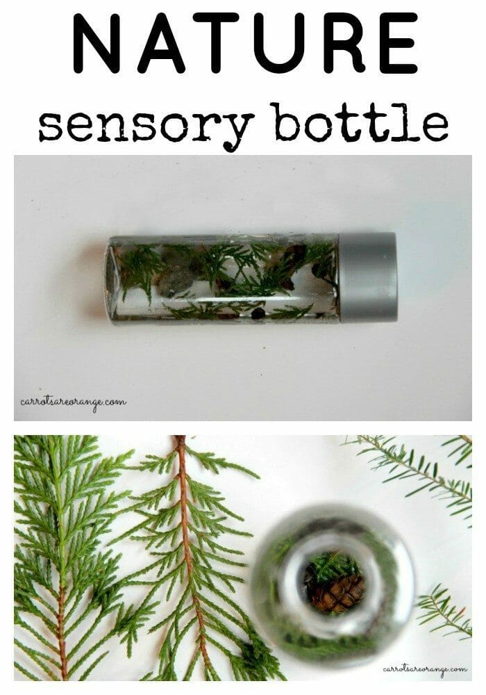 Nature sensory bottle