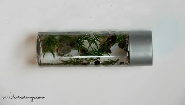 Nature Discovery Bottle