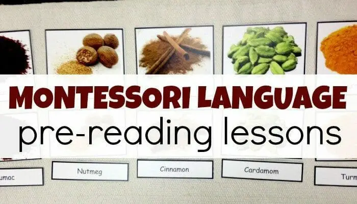 Montessori Language Pre-Reading Lessons