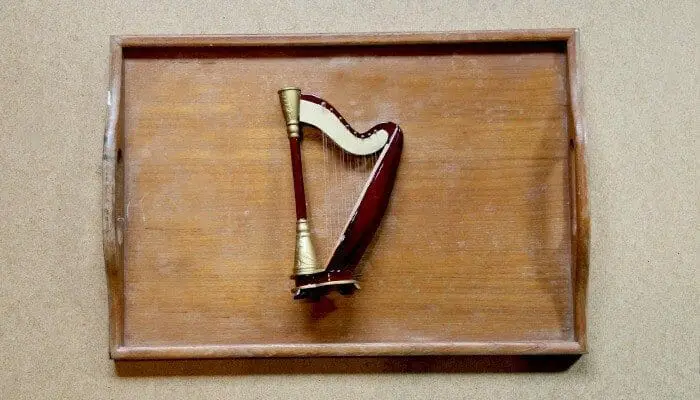 Learn about the Harp with Children
