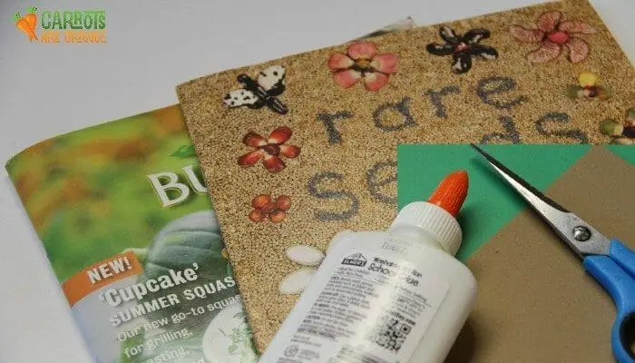 Make a Seed Collage
