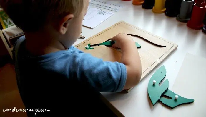 Child Working with Botany Puzzle